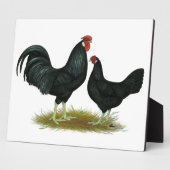 Marsh Daisy Chickens Fotoplatte (Seite)