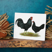 Marsh Daisy Chickens Fotoplatte (Seite)