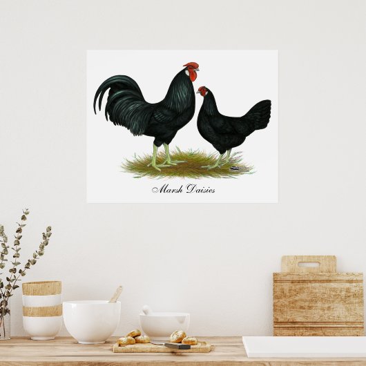Marsh Daisy Chickens Poster (Küche)