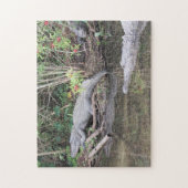Marsh Gators - American Alligator Jigsaw Puzzle (Vertikal)