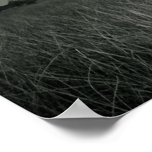 Marsh Grasses Poster (Ecke)