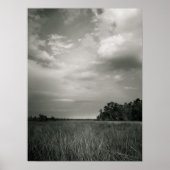 Marsh Grasses Poster (Vorne)
