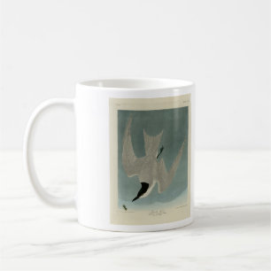 Marsh (Gull-Billed) Tern, Audubon Birds of America Kaffeetasse