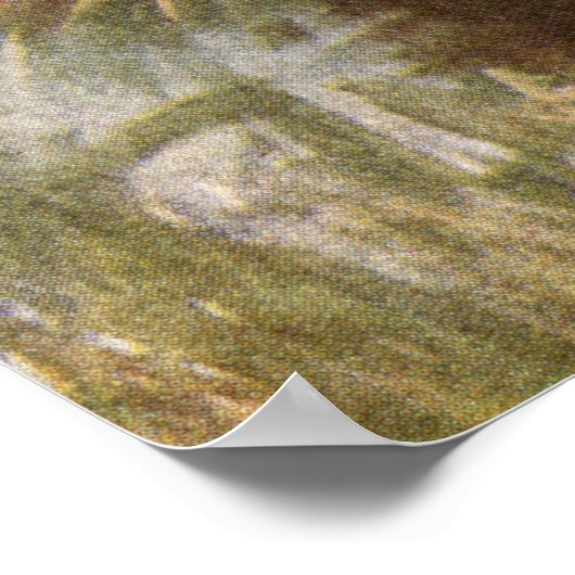 Marsh Hawk Poster (Ecke)