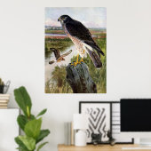 Marsh Hawk Poster (Heimbüro)