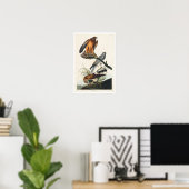 Marsh Hawk von Audubon Poster (Heimbüro)