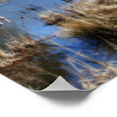 Marsh im Frühjahr Orton Art Nature Poster (Ecke)