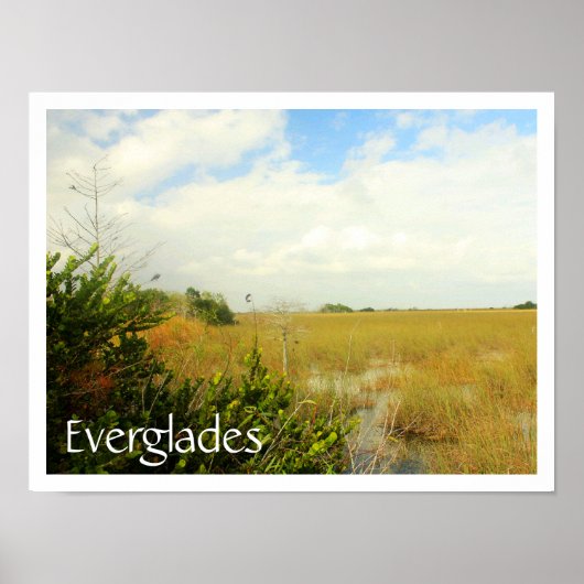 Marsh in Everglades National Park, Florida Poster (Vorne)