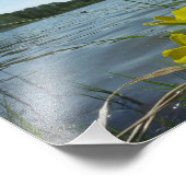 Marsh Marigold Blume von Lakeside Fotodruck (Ecke)
