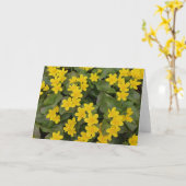 Marsh Marigold in Bloom Karte (Gelbe Blume)