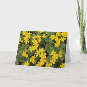 Marsh Marigold in Bloom Karte