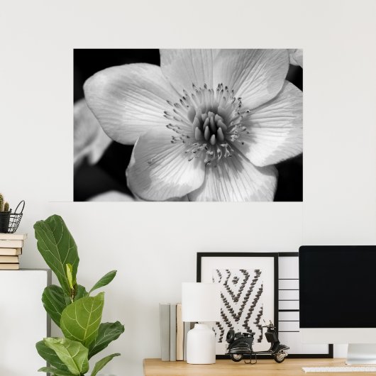 Marsh Marigold Poster (Heimbüro)