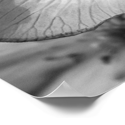 Marsh Marigolds Poster (Ecke)