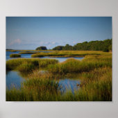 Marsh Poster (Vorne)