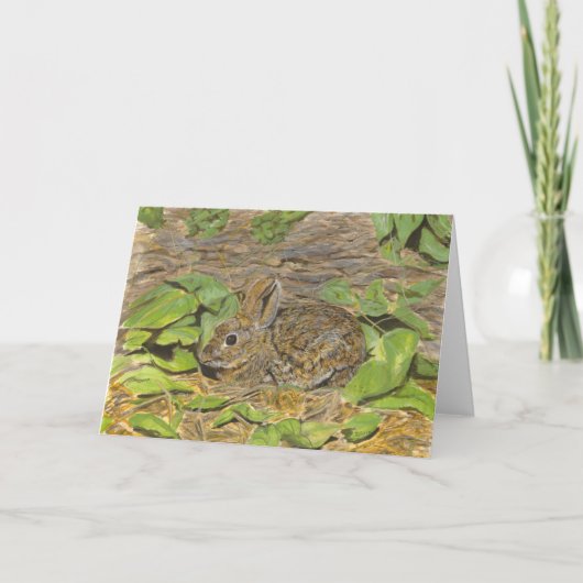 Marsh Rabbit Note Karte (Vorderseite)