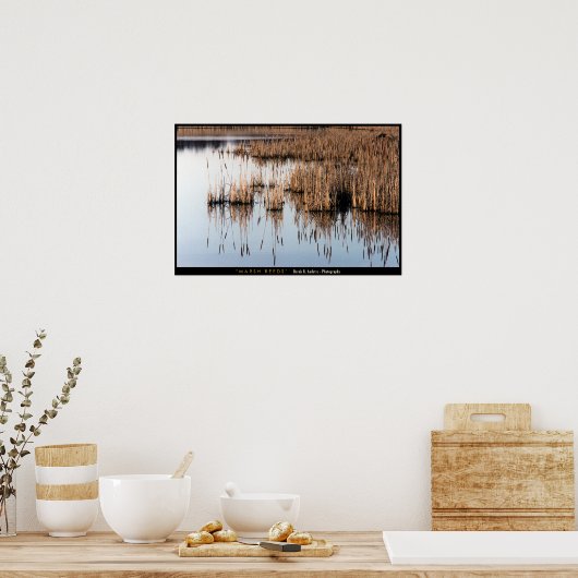 Marsh Reeds Poster (Küche)