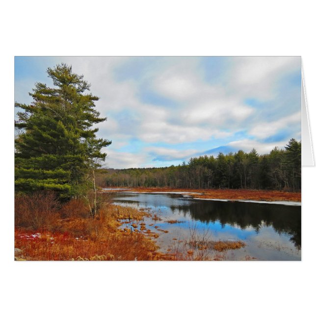 Marsh Stream (Vorderseite (Horizontal))