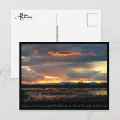 Marsh Sunset #2 Postcard Postkarte (Vorne/Hinten)