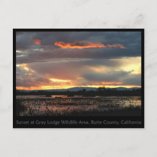 Marsh Sunset #2 Postcard Postkarte