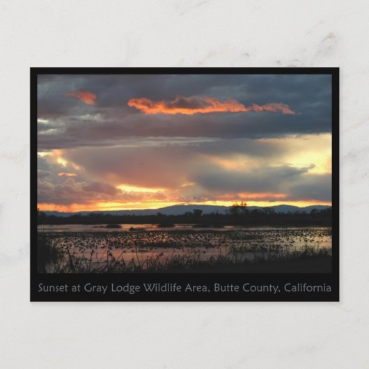 Marsh Sunset #2 Postcard Postkarte (Vorderseite)