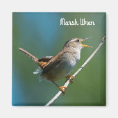 Marsh Wren Magnet (Vorne)