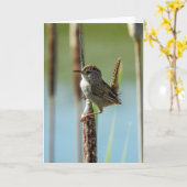 Marsh Wren Notecard Karte (Gelbe Blume)