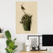 Marsh Wren Poster (Heimbüro)