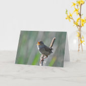 Marsh Wren Singing Loud - Framework Art Card Karte (Gelbe Blume)