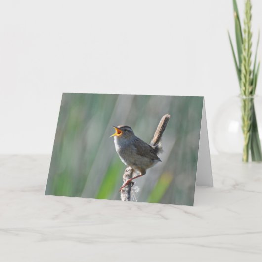 Marsh Wren Singing Loud - Framework Art Card Karte (Vorderseite)
