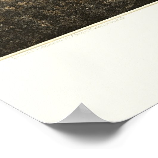 Marshall, MI Panoramic Map - 1868 Poster (Ecke)