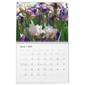Marshas fantastische Iris Cale 2008… Kalender (Mär 2027)