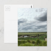 Marshes Postkarte (Vorne/Hinten)