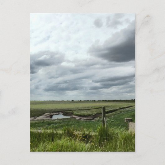 Marshes Postkarte (Vorderseite)