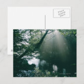 Marshland 3 postkarte (Vorne/Hinten)