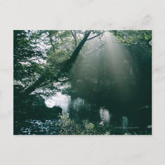 Marshland 3 postkarte (Vorderseite)