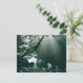 Marshland 3 postkarte (Stehend Vorderseite)