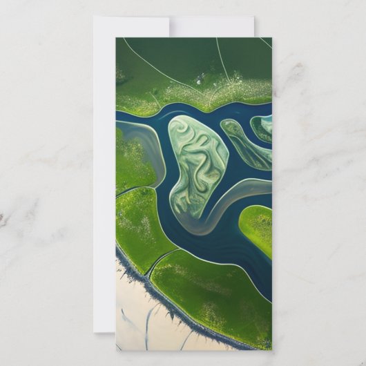 Marshland Elegance (Vorderseite)