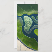 Marshland Elegance (Vorderseite)