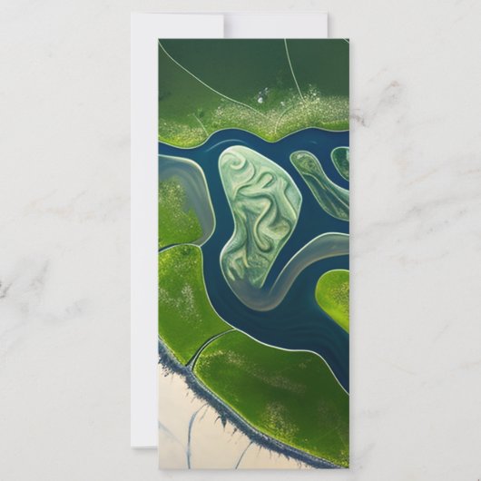 Marshland Elegance (Vorderseite)