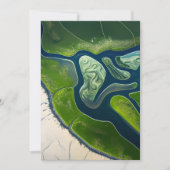 Marshland Elegance Feiertagskarte (Vorderseite)