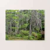 Marshland Florida, USA Puzzle (Horizontal)
