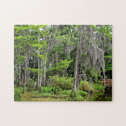 Marshland Florida, USA Puzzle (Horizontal)