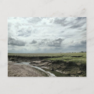 Marshland Postkarte