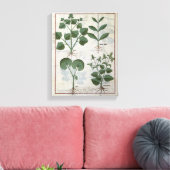 Marshmallow & Hastula Regia Asarabacca Leinwanddruck (Insitu (Wohnzimmer))