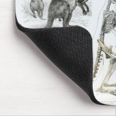 Marsupialia, Monetremata, Edentata Mousepad (Ecke)