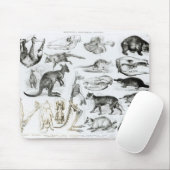 Marsupialia, Monetremata, Edentata Mousepad (Mit Mouse)