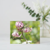 Martagon oder Turks Kappenlilie in den Alpen Postkarte (Stehend Vorderseite)