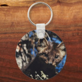 Marten in Spruce Tree Schlüsselanhänger (Vorderseite)