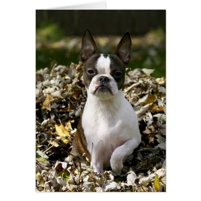 Martha Blätter (Vorne)