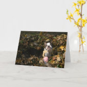 Martha-Fall Karte (Gelbe Blume)